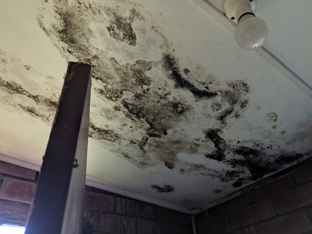 Mould buildup along a tiled floor skirting