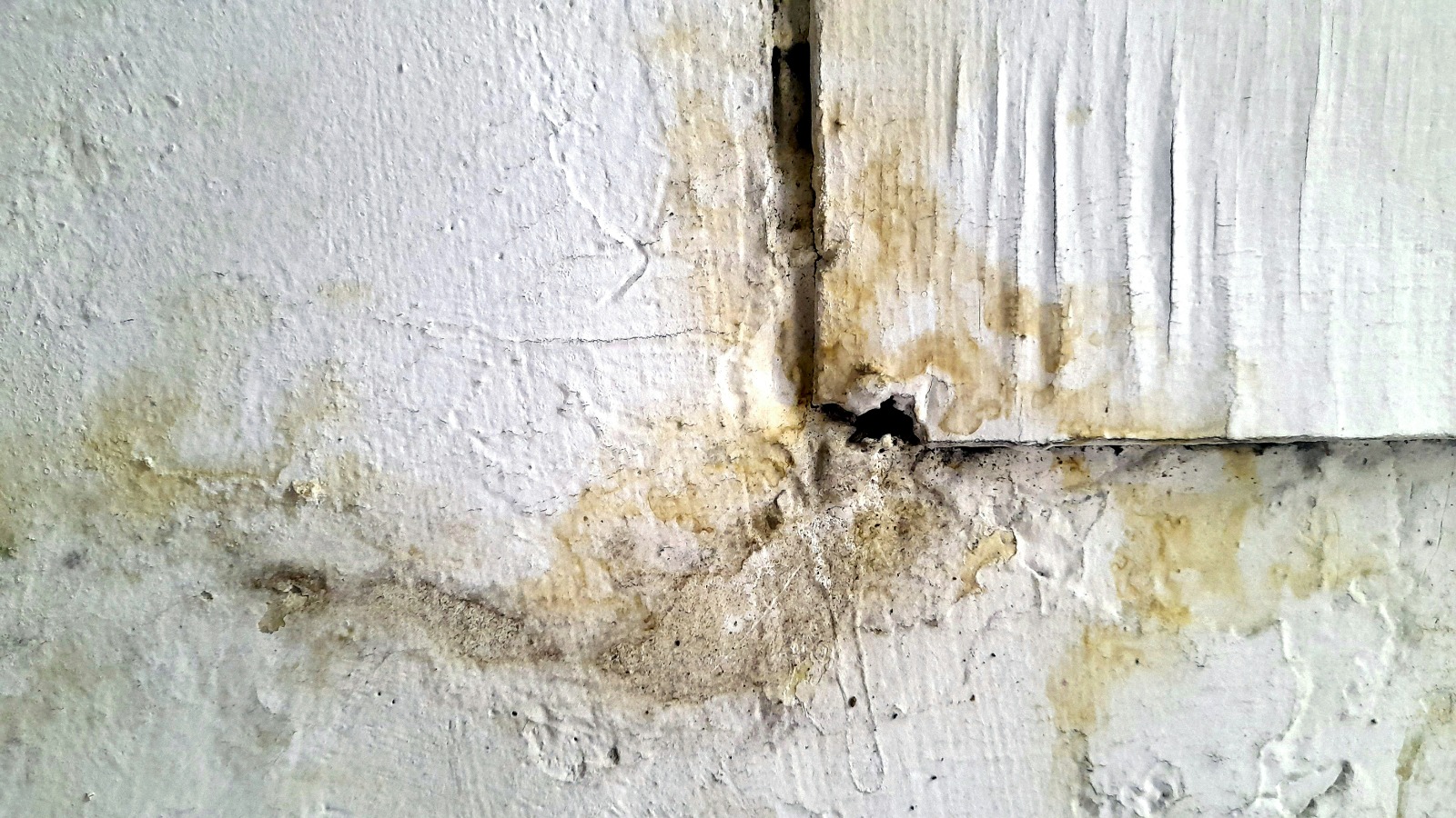 Water-damaged laundry with corroded cabinetry and staining