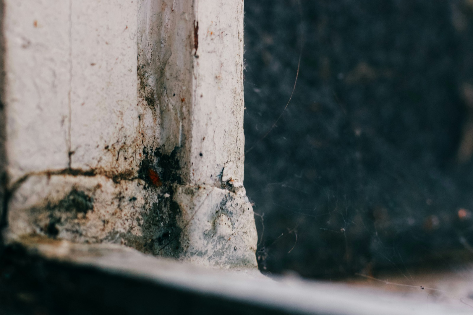 Water staining and mould at a wall join
